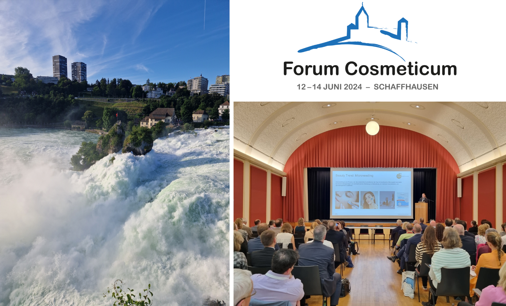 forum cosmeticum