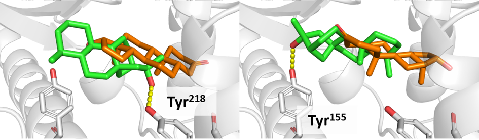 Ceruchiol