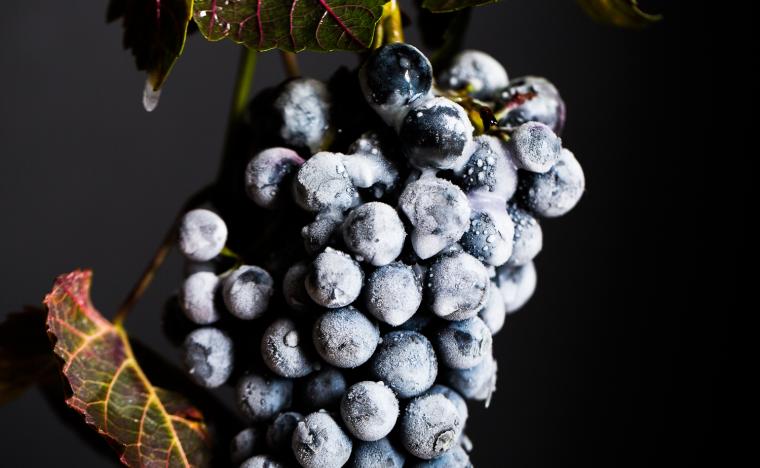 icewine