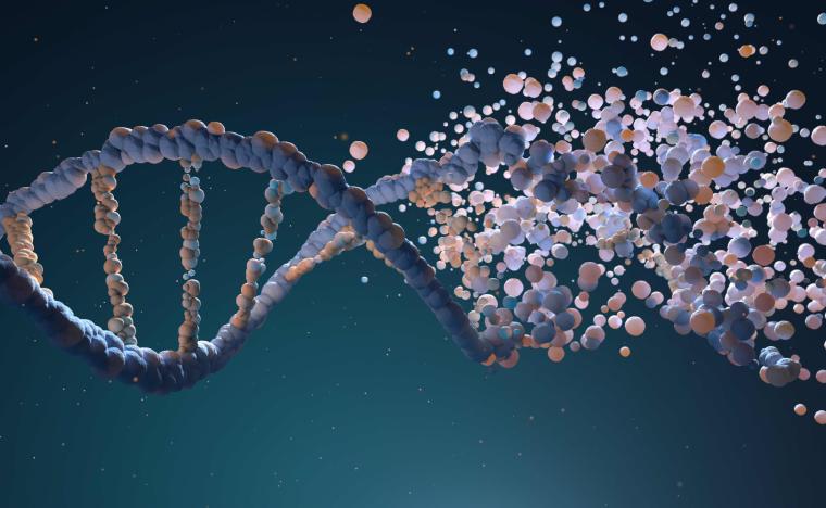 DNA Strand