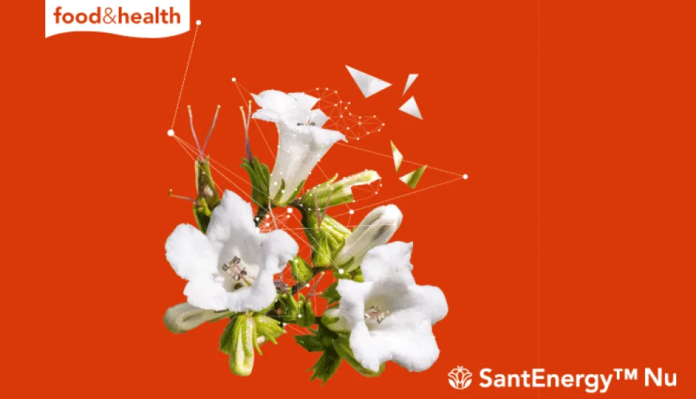 SantEnergy Nu