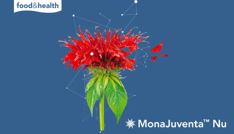 MonaJuventa
